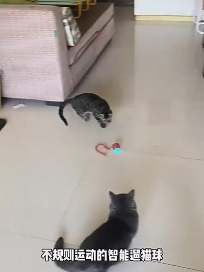 Pelota Interactiva para Mascotas