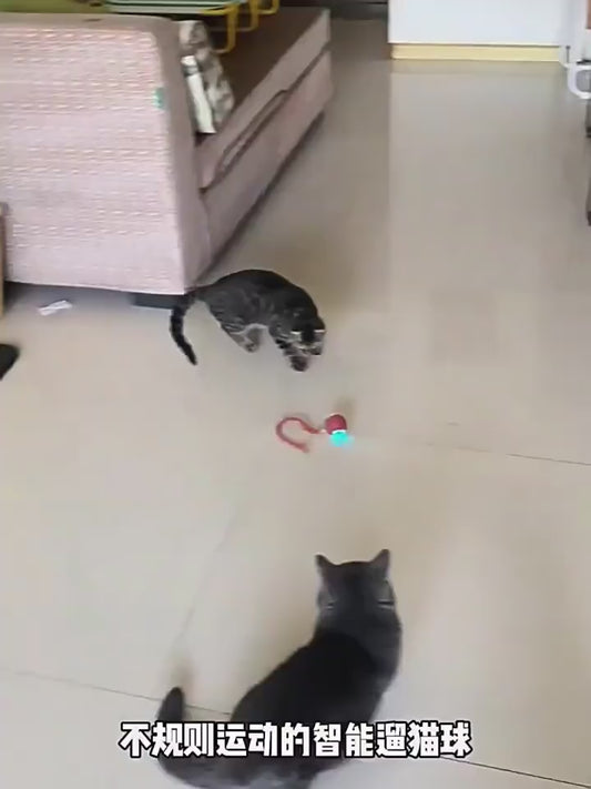 Pelota Interactiva para Mascotas