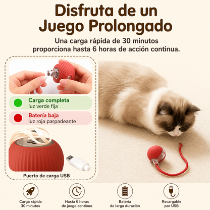 Pelota Interactiva para Mascotas